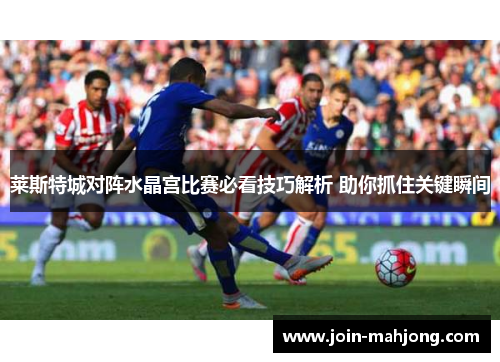 莱斯特城对阵水晶宫比赛必看技巧解析 助你抓住关键瞬间
