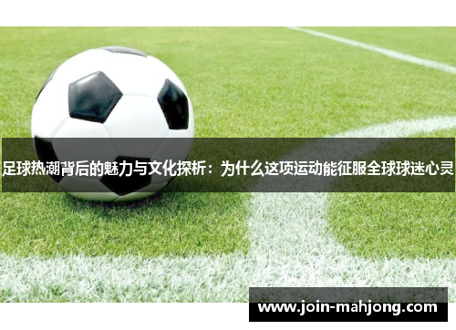 足球热潮背后的魅力与文化探析：为什么这项运动能征服全球球迷心灵