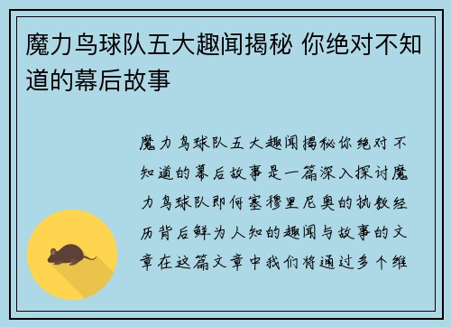 魔力鸟球队五大趣闻揭秘 你绝对不知道的幕后故事 魔力鸟球队五大趣闻揭秘 你绝对不知道的幕后故事